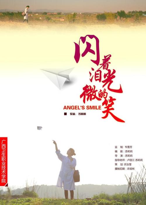 荷兰应用科技大学学士证书